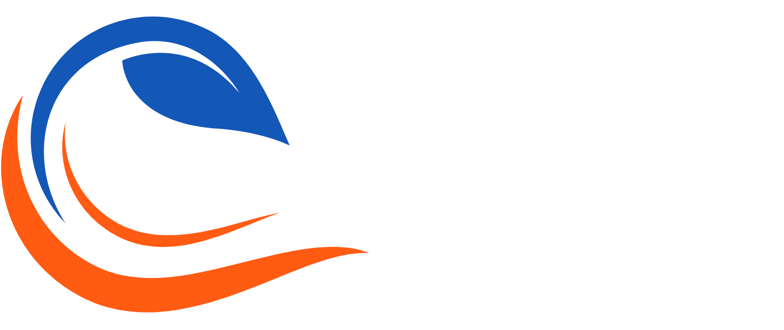 logotipo-RYV